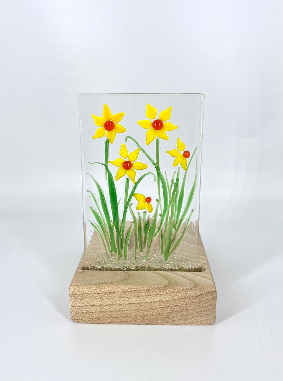 Daffodils - Fused Glass Panel set in a Sycamore Tealight Holder