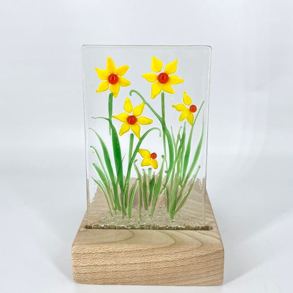 Daffodils - Fused Glass Panel set in a Sycamore Tealight Holder