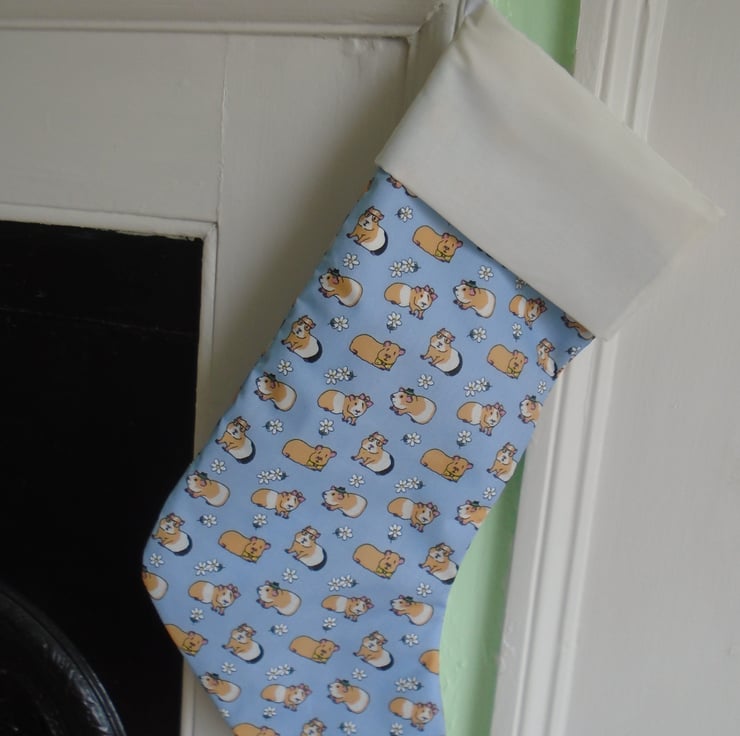 Gifts for Guinea Pig Lovers