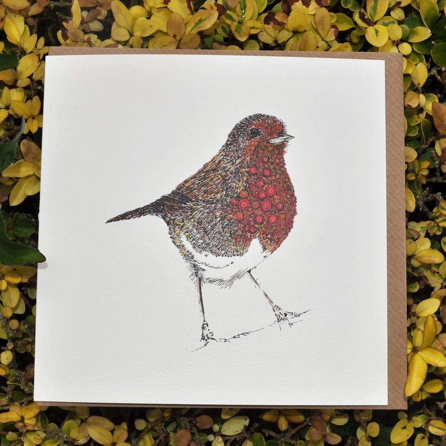 6 x Robin Greeting cards OFFER