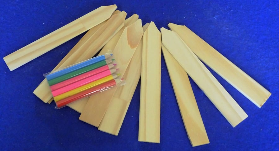 Set of ten wooden seed or plant labels ideal for young children with crayons