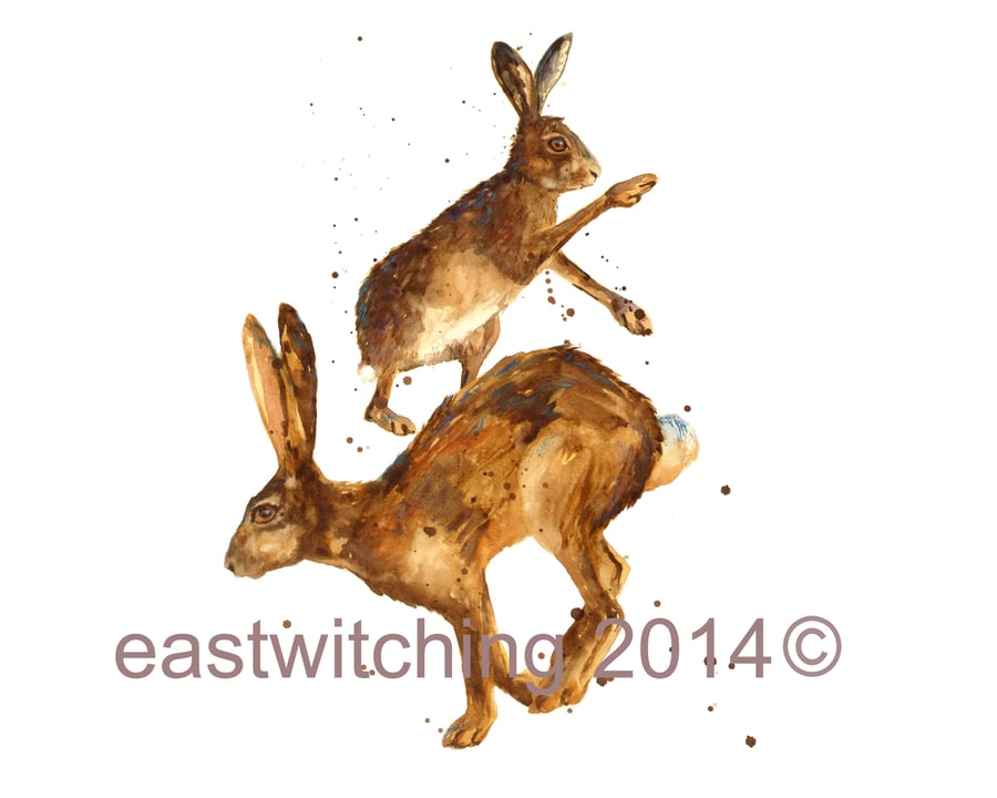 Hare Art Print 