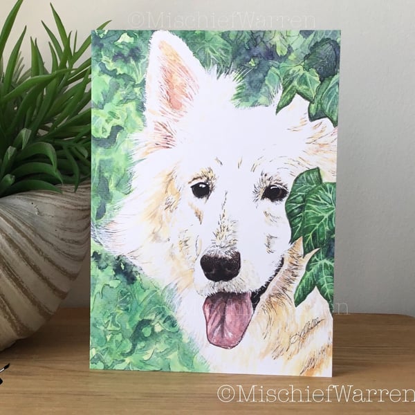White German Shepherd Dog Card. Blank for any occasion.