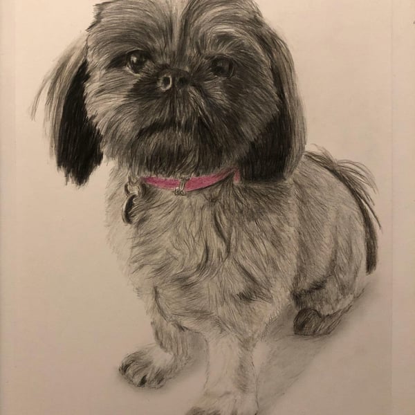 A3 Custom Dog Portrait made with Coloured Pencil