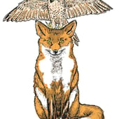 Kestrel and the Fox Illustrations