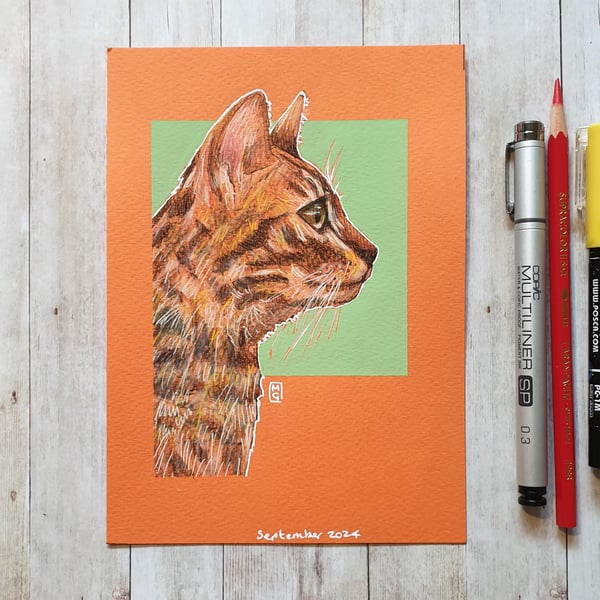 Cat Profile, Orange Tabby drawing - Original animal artwork