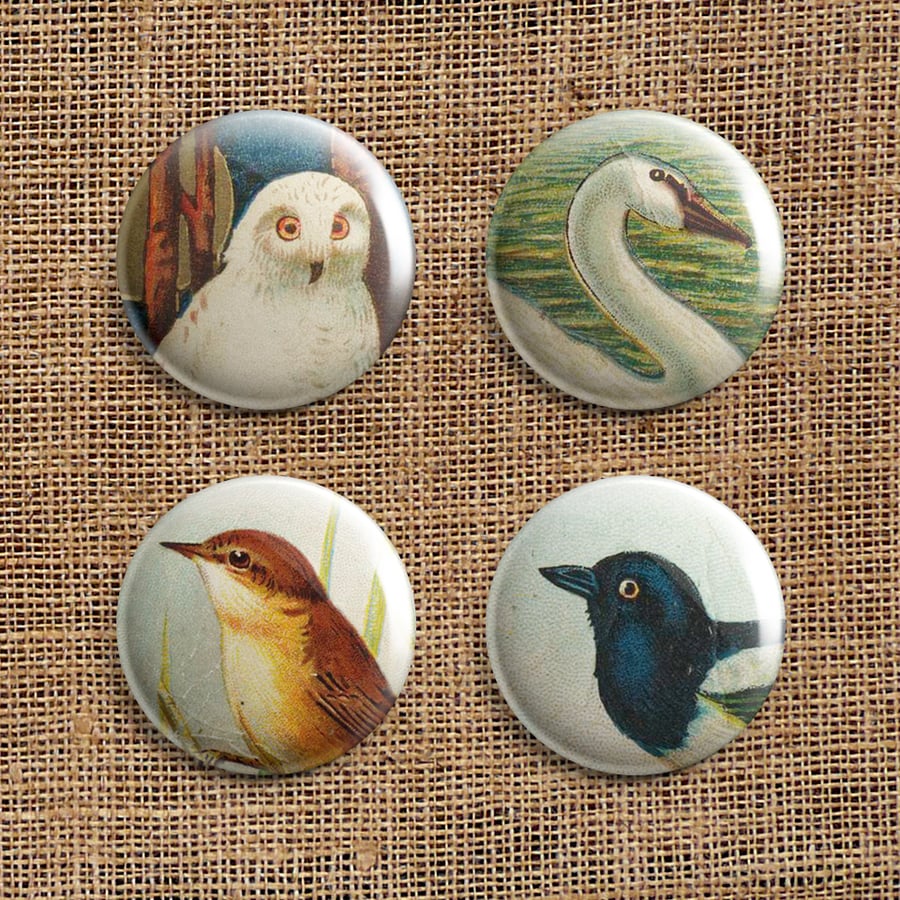 Badge Pack – Set Of 4 Bird Button Badges (RR)