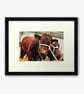 Pedigree Red Ruby Devon Cow Photograph Print - Image 3