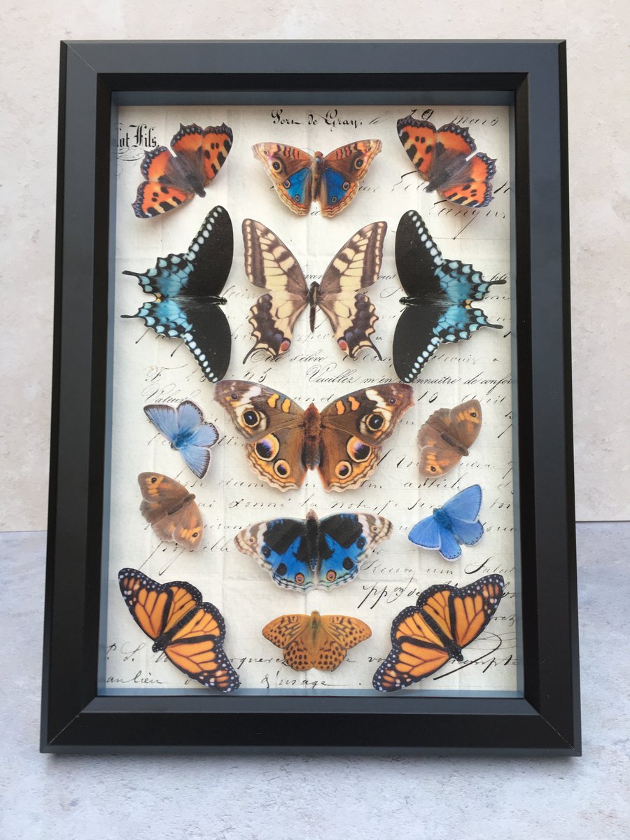 Framed butterfly specimens, hand cut from silk - cruelty free! 