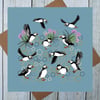 A Circus of Puffins Greetings Card - Blank Puffin Greeting Card