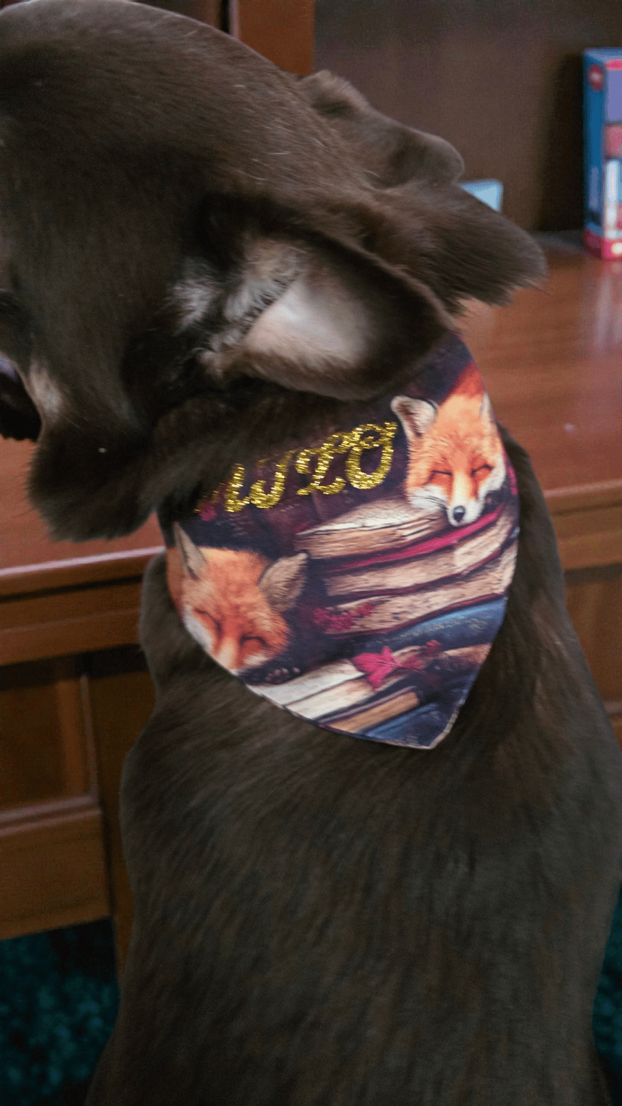 Personalised dog bandana
