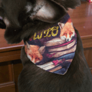 Personalised dog bandana