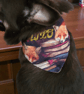 Personalised dog bandana