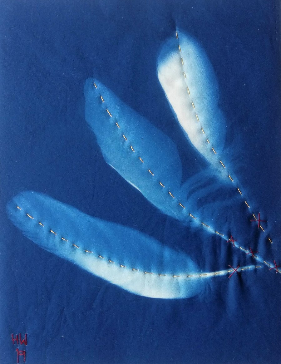 Sun Feathers II: Hand Embroidered Cyanotype Print on Fabric