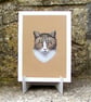 Tabby Cat Fine Art Print - Image 2