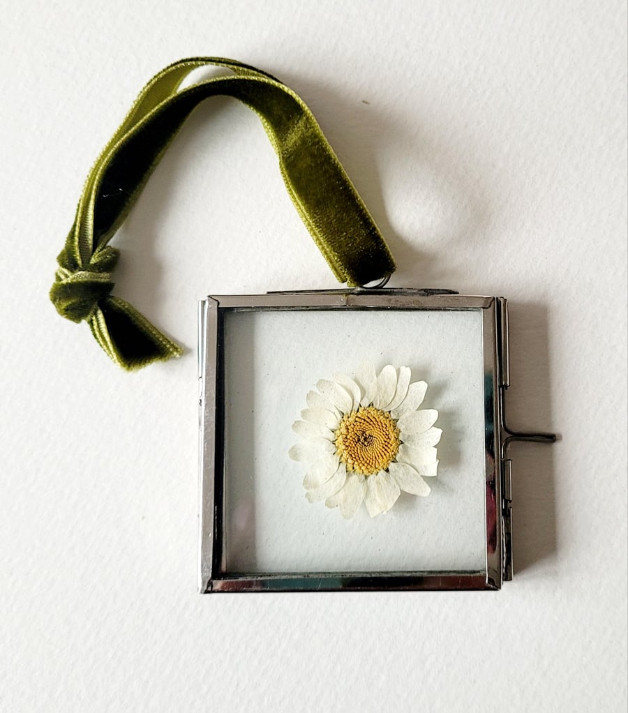 Mini Hanging Silver Metal Frame with a Pressed Marguerite Daisy