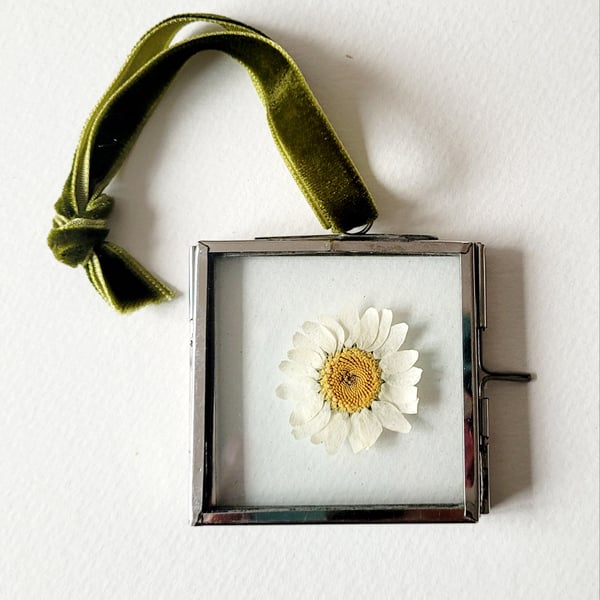 Mini Hanging Silver Metal Frame with a Pressed Marguerite Daisy