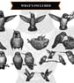 12 Vintage Hummingbird Engraving SVGs Hummingbird Clipart Bundle (Digital Downlo - Image 3