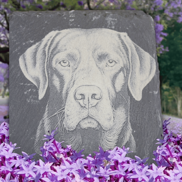 4 pack set of slate labrador coasters 