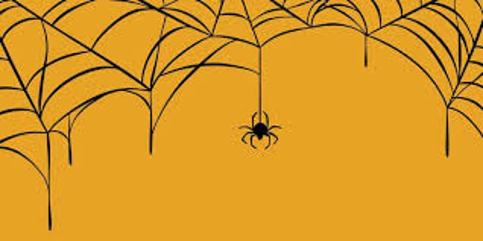 Fluffypaws spider homes
