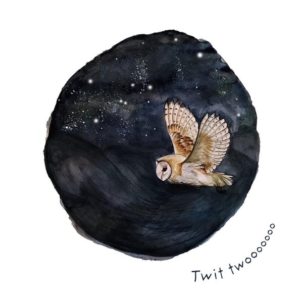 Barn Owl