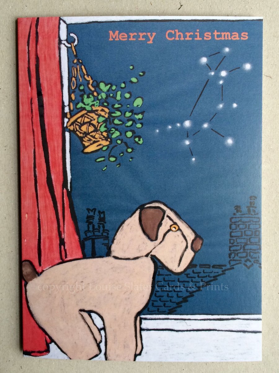 Christmas Canis Major Cards - Pk of 5