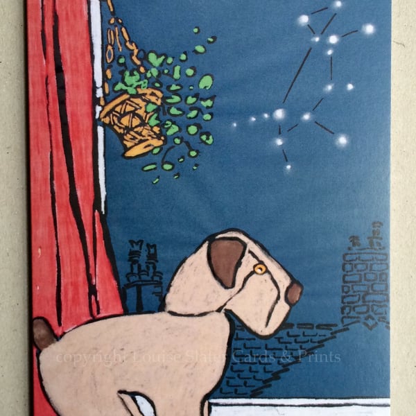 Christmas Canis Major Cards - Pk of 5