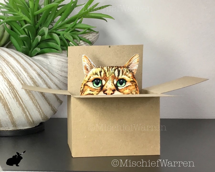 Tabby Cat in a Box Card. 3D Blank or Personalised Card. Gift card holder.