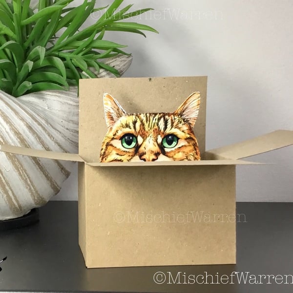 Tabby Cat in a Box Card. 3D Blank or Personalised Card. Gift card holder.