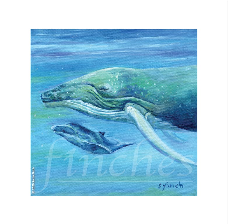 Spirit of Whale - Blank Greeting Card with nature spirit totem message