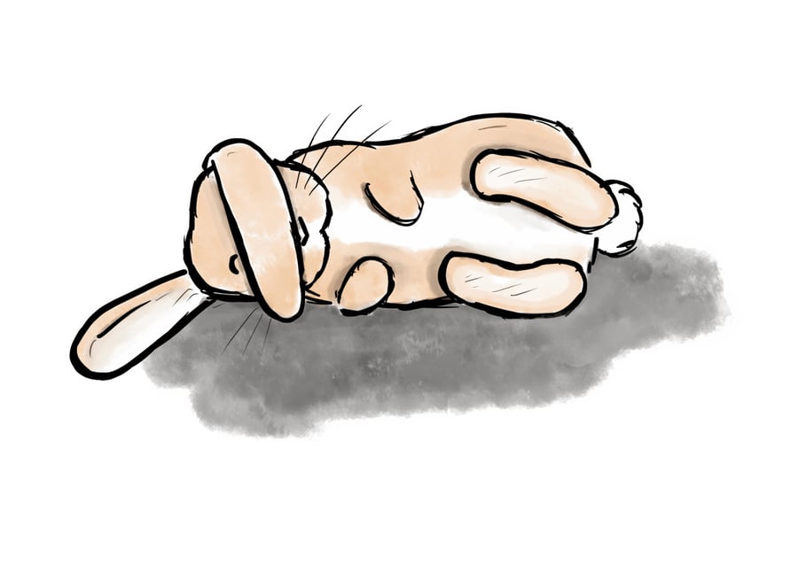 Lop flop rabbit print 