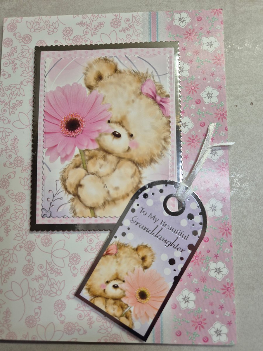 granddaughter, teddy birthday card 