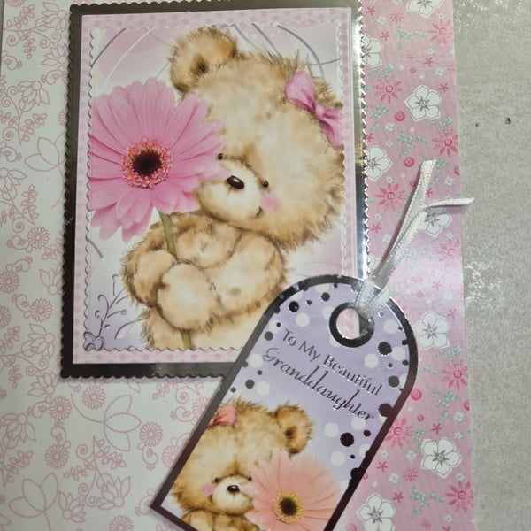 granddaughter, teddy birthday card 