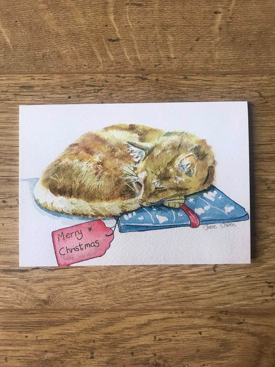 Pack of x5 Christmas Cards, Watercolour Print of Cat on Present. Blank Inside