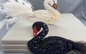 Brooches 