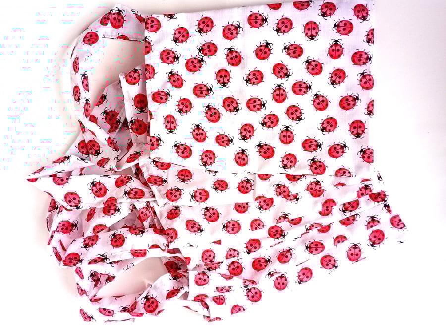 LADYBIRDS theme, 6 Pack, SMALL multicoloured, party, present or book bags