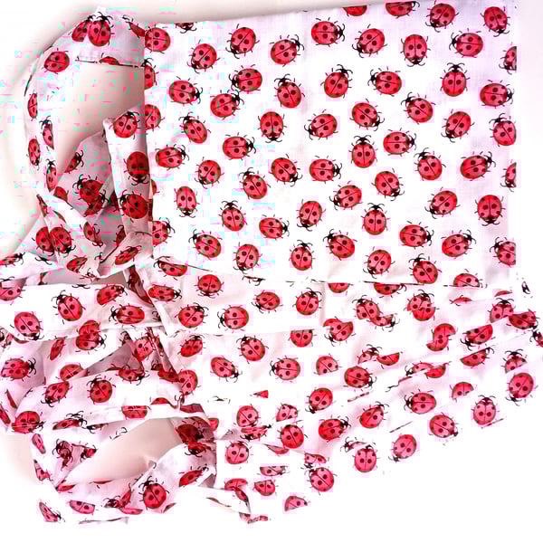 LADYBIRDS theme, 6 Pack, SMALL multicoloured, party, present or book bags