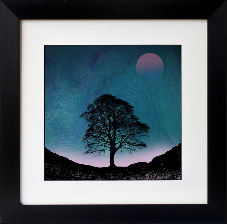 Dusk At Sycamore Gap Fine Art Print