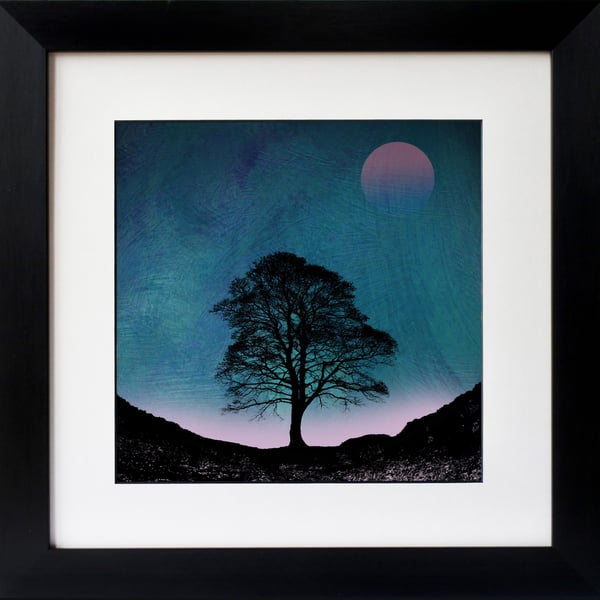 Dusk At Sycamore Gap Fine Art Print