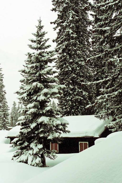 Oberlech am Arlberg Austrian Alps Austria Photograph Print