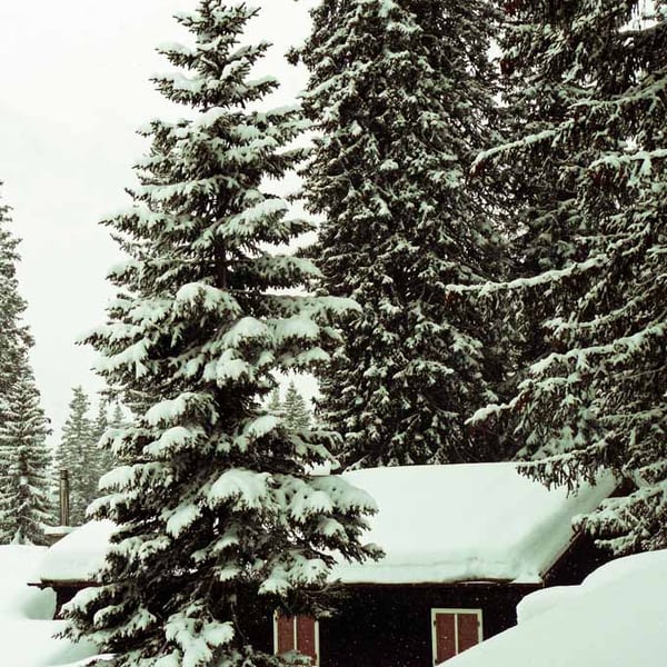 Oberlech am Arlberg Austrian Alps Austria Photograph Print
