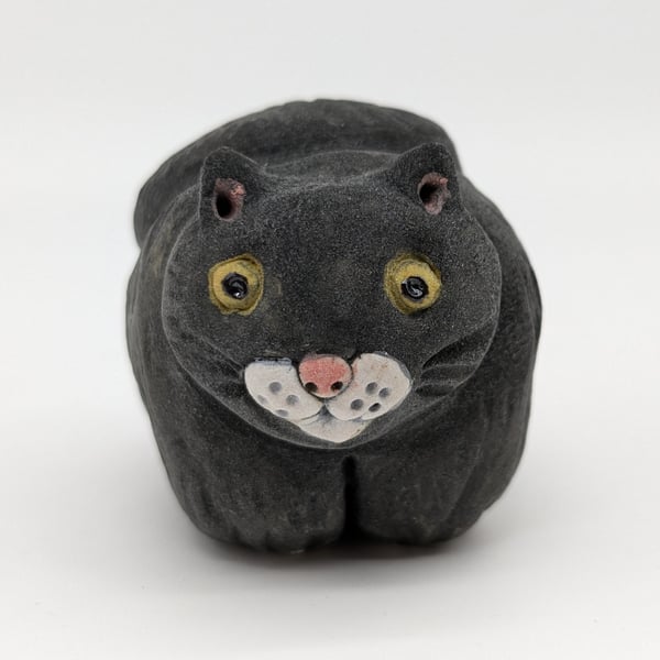 Black Cat - Little Creatures Range