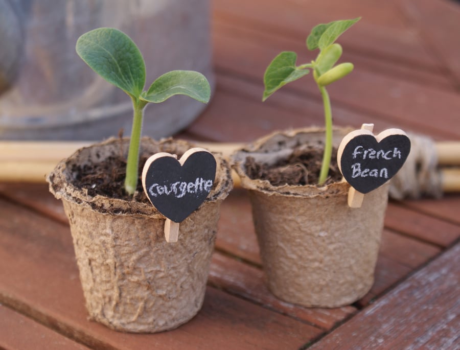 Seedlings Labelling Kit Hearts
