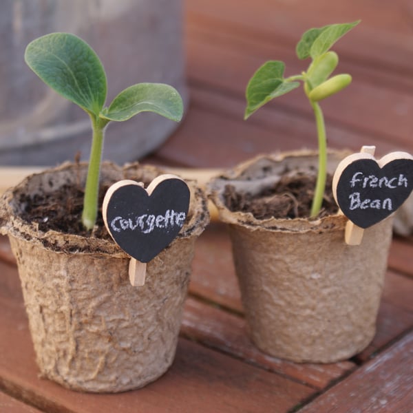 Seedlings Labelling Kit Hearts