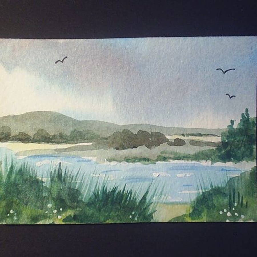 aceo landscape
