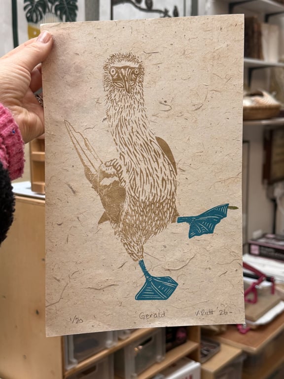'Gerald' Blue Footed Booby Lino Print