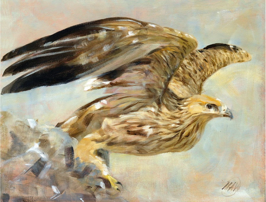 B1M  Eastern Imperial Eagle print