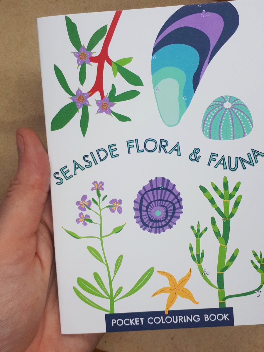 Seaside pocket colouring book