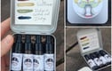 Paints and inks