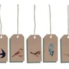 city bird tags 